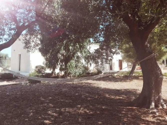 Valle degli Ulivi