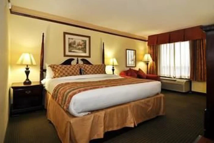 Standard Sextuple room