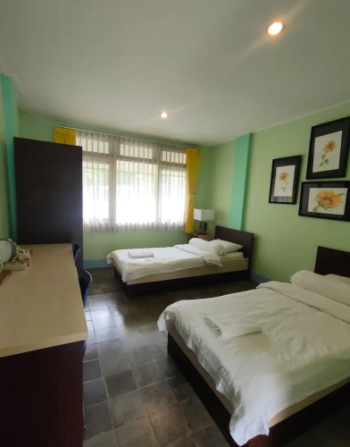 Standard Double room with mountain view