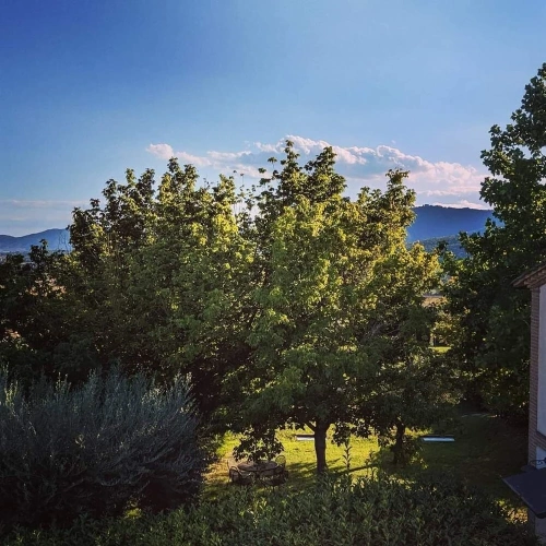 Family Villa