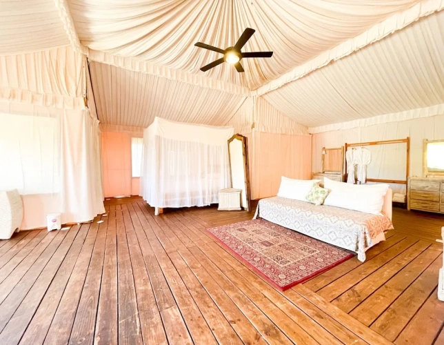 Superior Suite