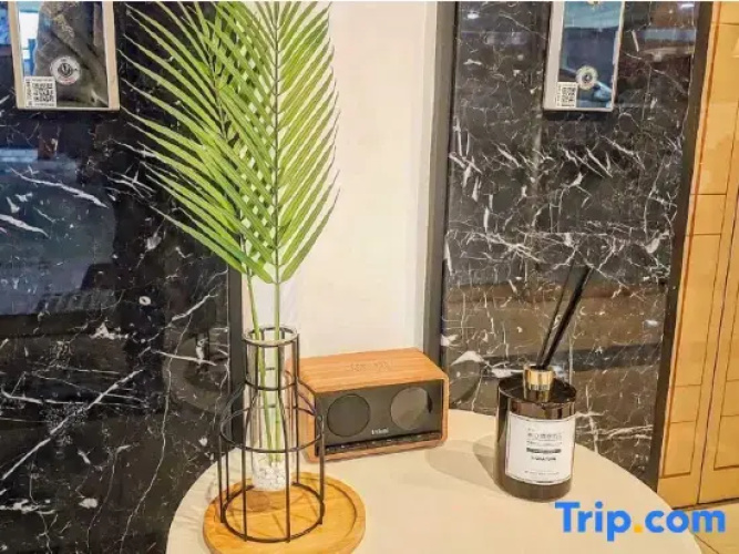 Zara Hotel Peace Square