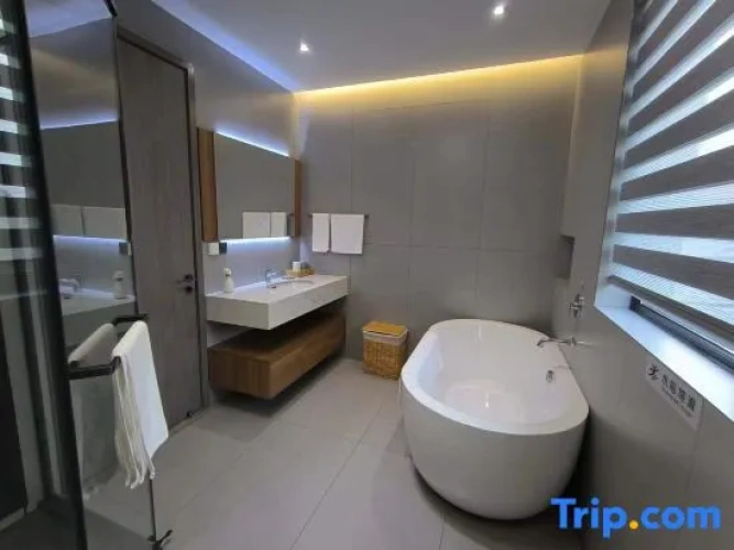 Premium Twin room