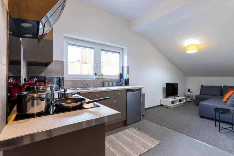 1 Bedroom Apartment