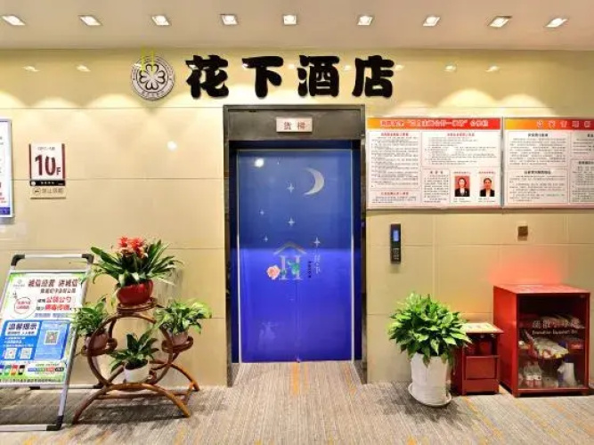Starpai · Flower Hotel