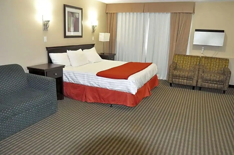 Suite