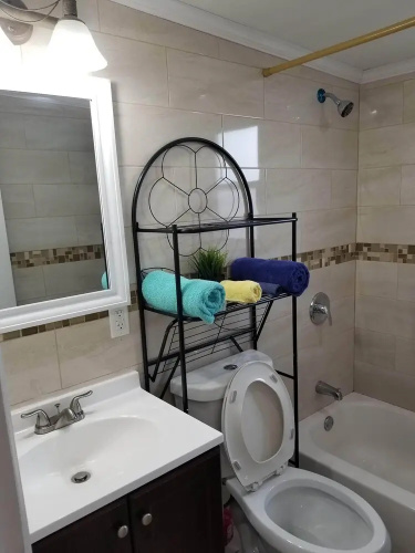 2 Bed Rooms Shared Brooklyn Apartment