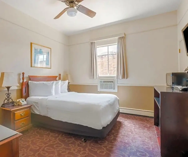 Family Studio Suite