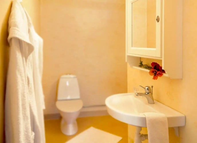 2 Bedrooms Apartment
