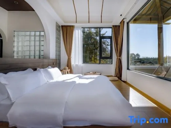 Standard Double room with balcony and with panoramic view