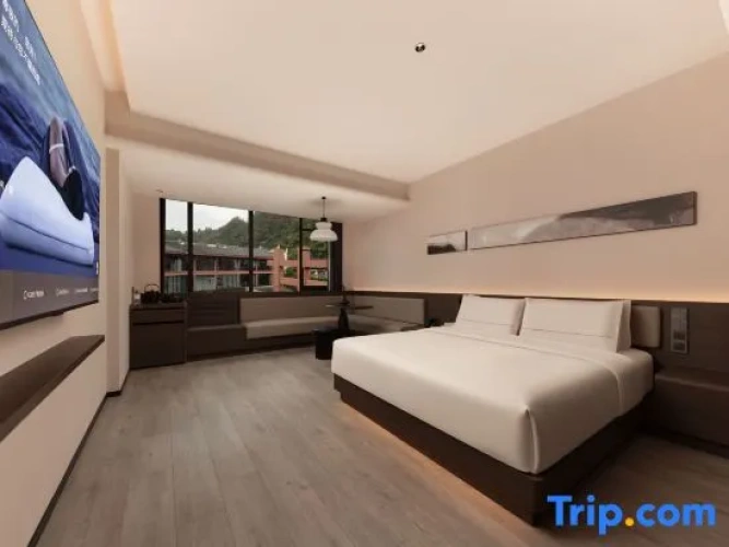 Premier Double room with city view