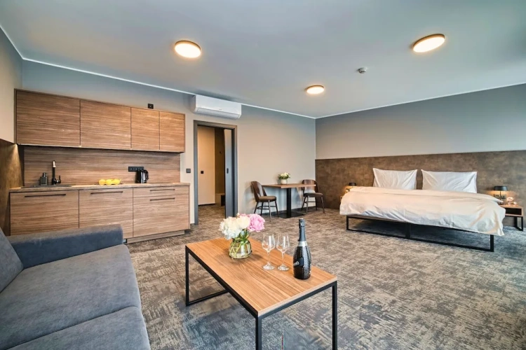 Deluxe Apartment