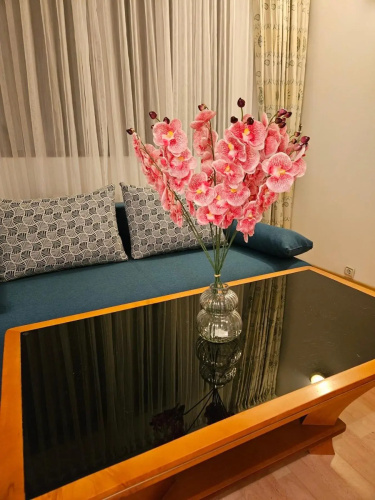Guest House Karov - 2 Stars
