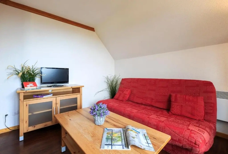 Standard Apartment