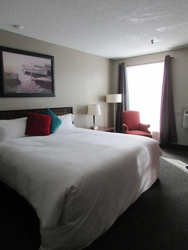 The City Motel