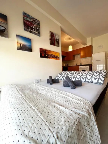 Albert's apartment Centre 601