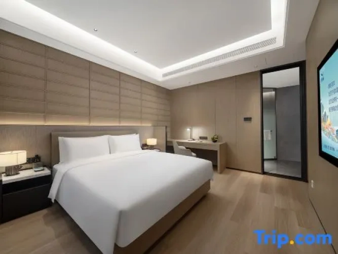 1 Bedroom Executive Suite