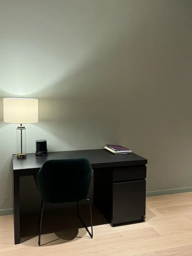 Luxury Apartment