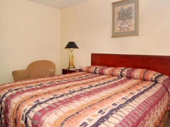 1 Bedroom Suite