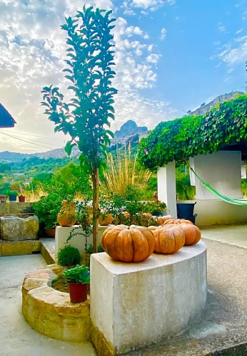 Casa Puccio B&B