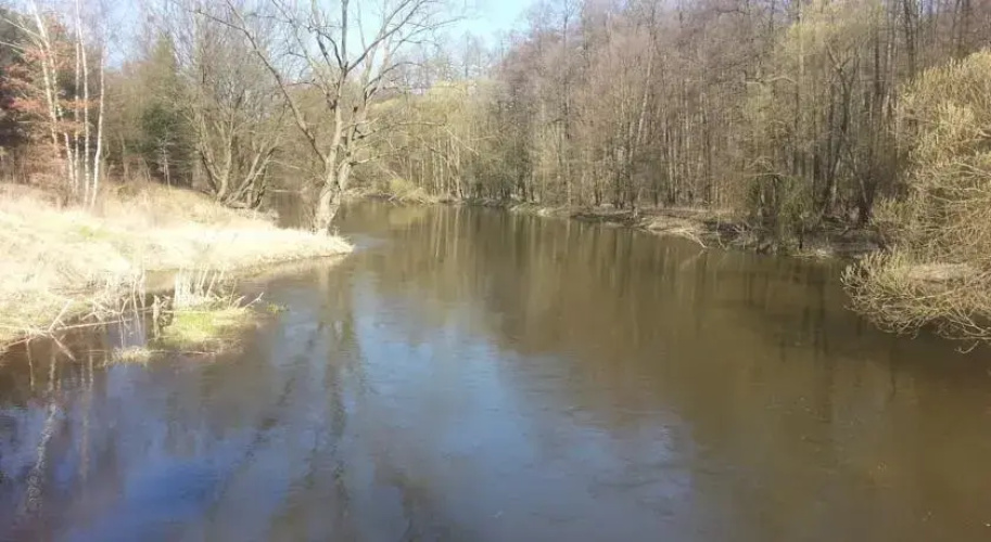 Domek w Dolinie Drwęcy