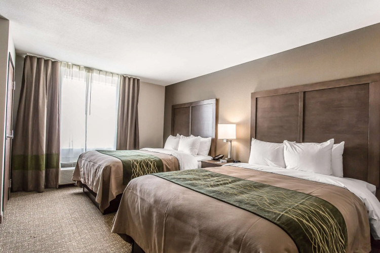 Comfort Inn & Suites Snyder