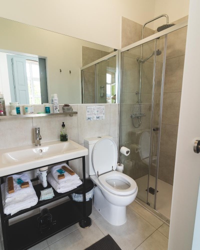 Standard Suite