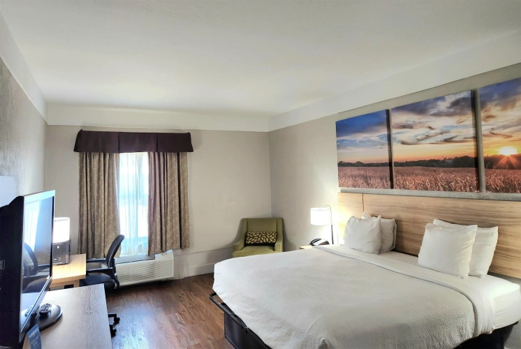 Guest rooms