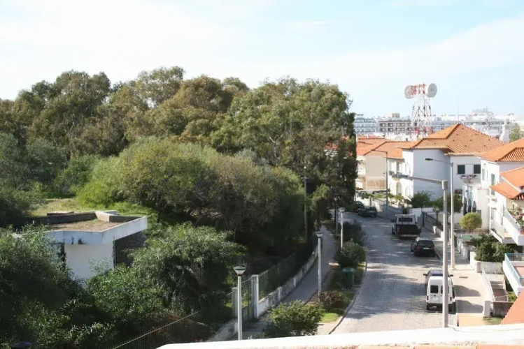 Residencial York