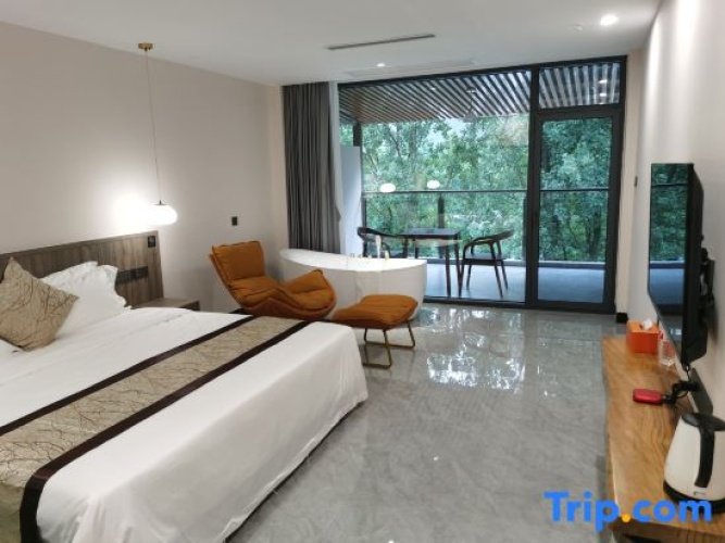 Deluxe Double room with balcony and with river view
