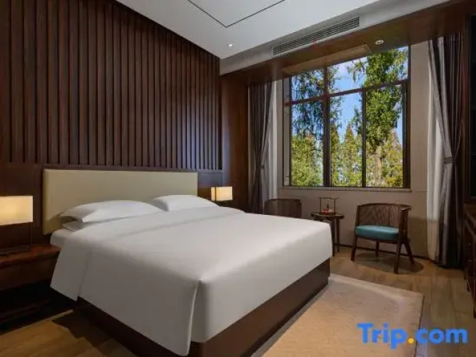 Double Suite with garden view