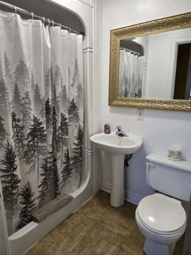Deluxe Double room with view