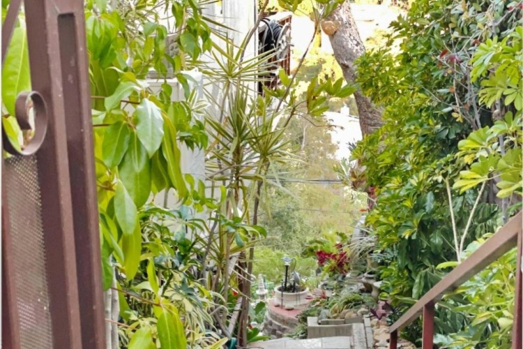 Outside
