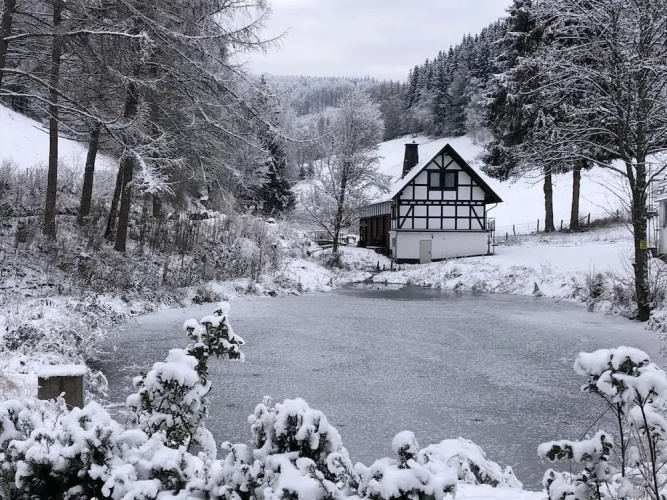 Ruckzugsort am Teich in Winterberg