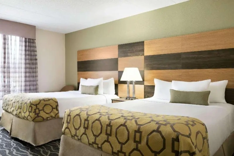Standard Double room