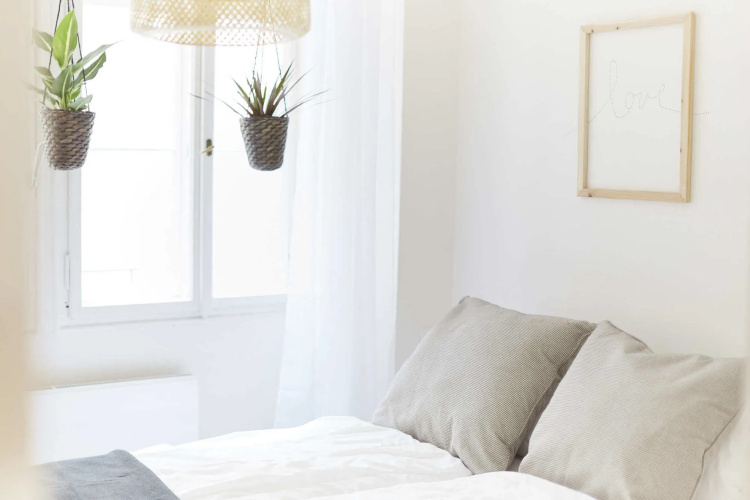 Friday Songs Apartments
