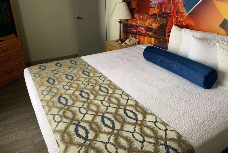 1 Bedroom Single Suite