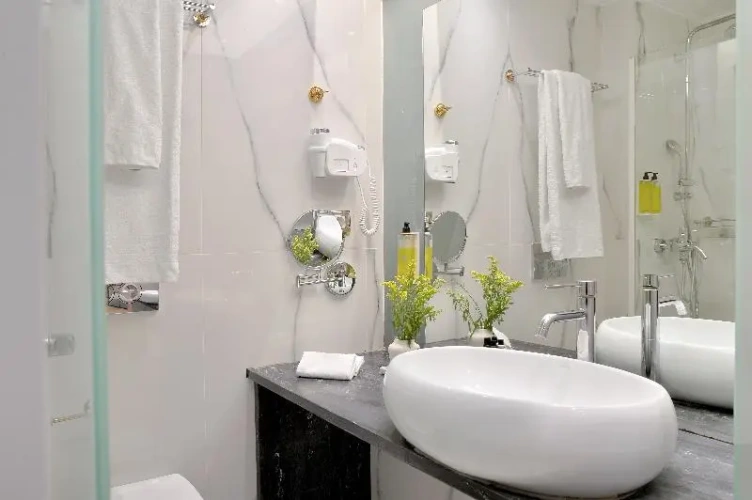 Deluxe Annex Building Double room