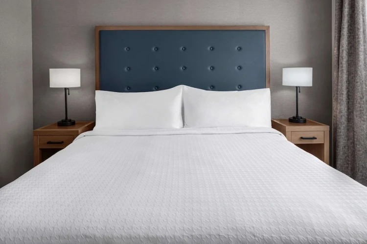 1 Bedroom Suite