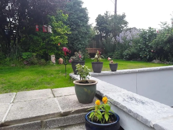 Standard Double room with garden view