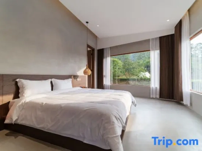 1 Bedroom Standard Double room