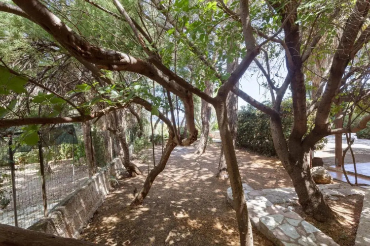 Scopello Flat with Panoramic Courtyard and Parking