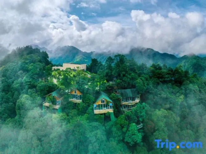 Yinxin'gu Treehouse Hotel