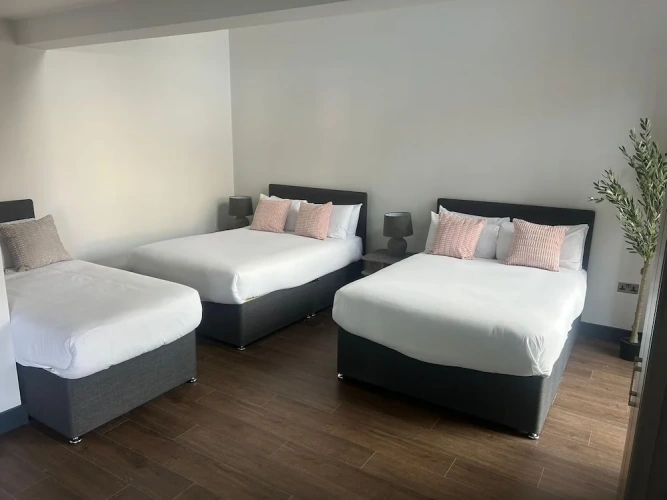 Superior Single Apartment