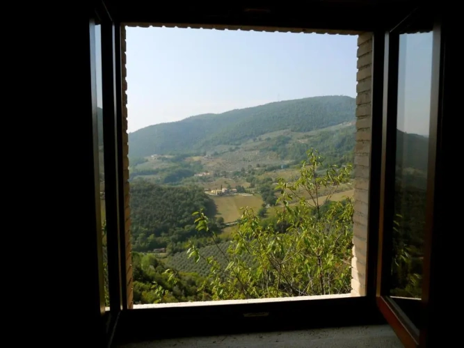 Standard Double room with view