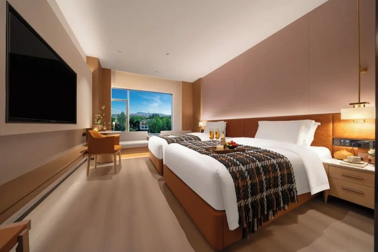 Luxury Twin room with courtyard view