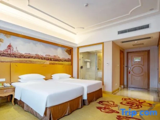 Business Twin room with city view