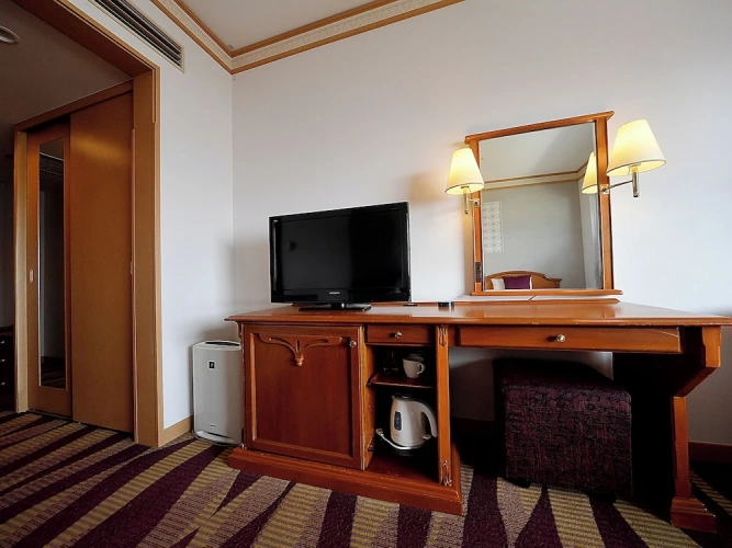 Standard Twin room with view
