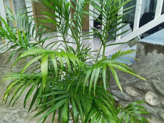 Dali Langhai 30 Yisu (Erhai Ecological Corridor Branch)
