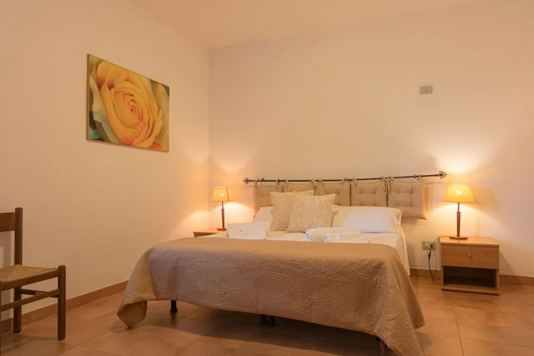 Standard Double room with balcony and with garden view